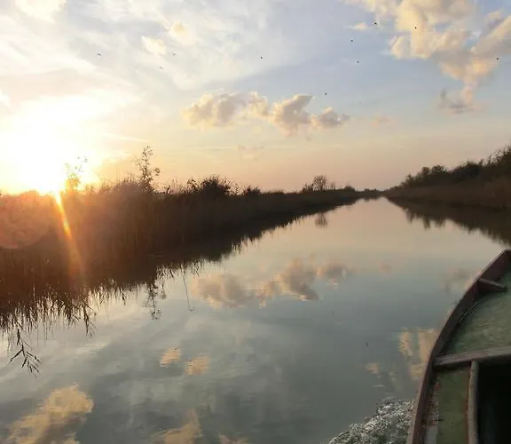 فندق Royal Garni كاوْرلي